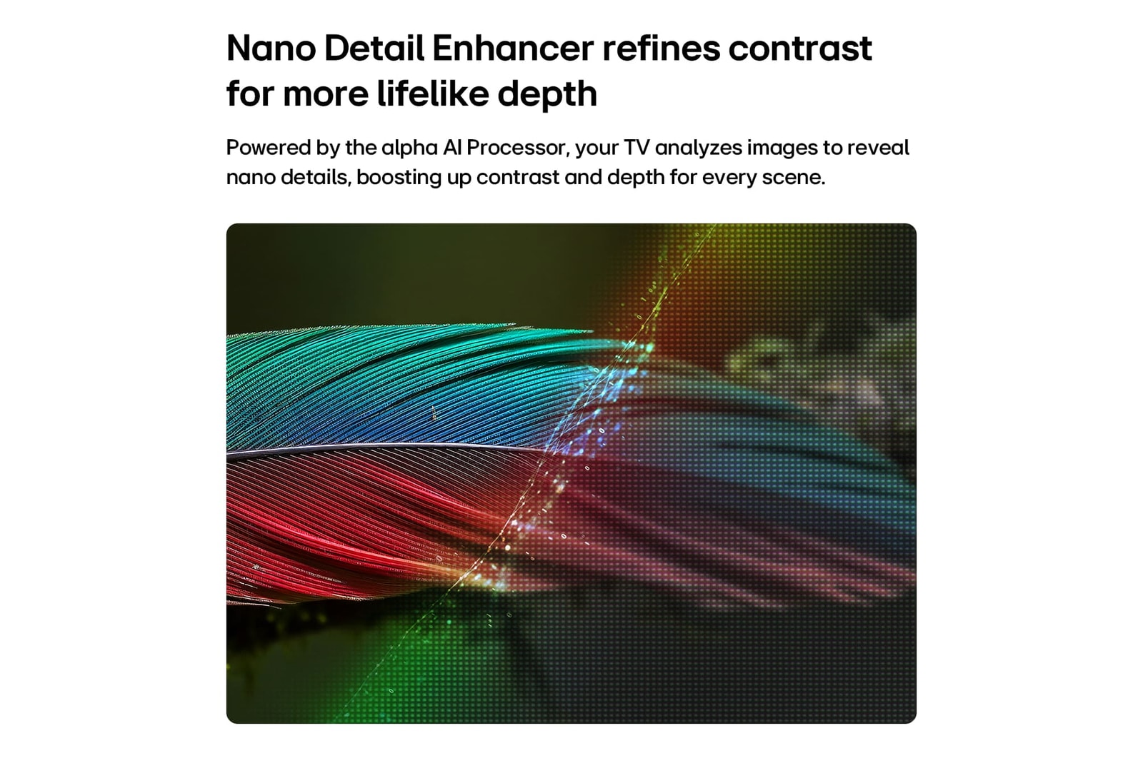 LG NANO 4K UHD AI nu70 with Nano Detail Enhancer shows a feather image, powered by the alpha AI Processor that detects fine textures to enhance contrast and depth and deliver a clearer, more three-dimensional 4K picture.